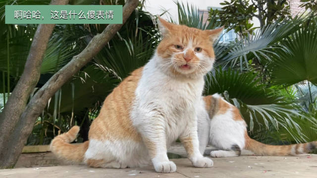 初春颜值大赏